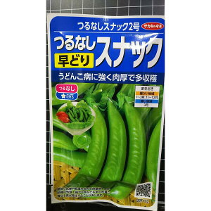 Ȃ XibN 2 ǂ  q TJ^̃^l