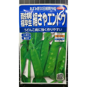 邠 ɑ  GhE ݖ30  q TJ^̃^l