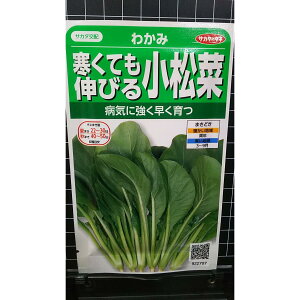  ĂLт 킩  q TJ^̃^l