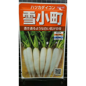 ͂ 卪 Ꮼ ncJ 20 _CR fBbV  q TJ^̃^l