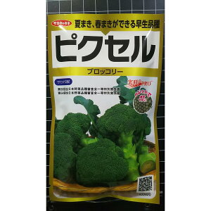 ͂ǂ ubR[ sNZ ǂ  q TJ^̃^l