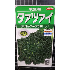 ^@c@C ^ATC   q TJ^̃^l