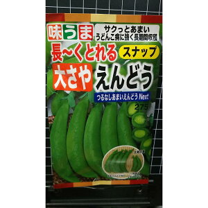 Ȃ ܂ Xibv ǂ Next ǂ񂱕aɋ  q g[zN