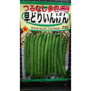 Ȃ n ǂ 񂰂 CQ  q g[zN