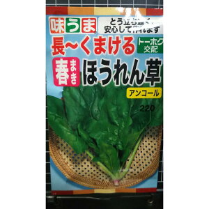 t܂ ق AR[ zE\E  q g[zN