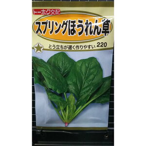 XvO ق zE\E   q g[zN