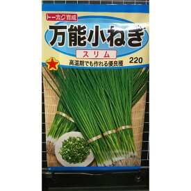 万能 小ねぎ スリム こねぎ 種 種 種子 トーホク