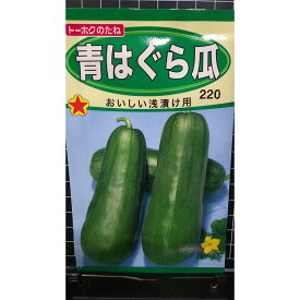 青 はぐら瓜 浅漬け用 種 種子 トーホク
