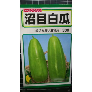  Z Еp ʂ܂ VE   q g[zN