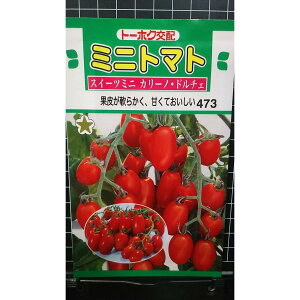 ~jg}g XC[c J[m h`F  q g[zN