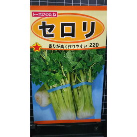 セロリ 種 種 種子 トーホク
