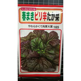春まき ピリ辛 たか菜 たかな 種 種子 トーホク