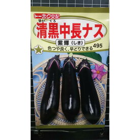 清黒 中長 ナス 紫輝 茄子 種 種子 トーホク