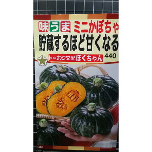 قǊÂȂ ڂ Z ڂ  q g[zN