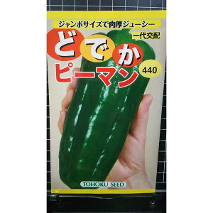 ǂł s[} W{   q g[zN