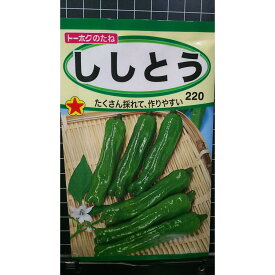 ししとう 種 種子 トーホク