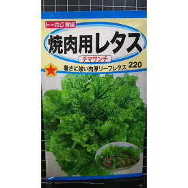 焼肉用 レタス チマサンチ チマサンチュ チマサンテ リーフ 種 種 種子 トーホク