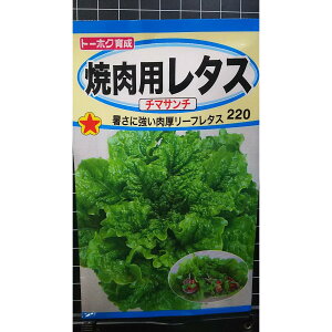 ēp ^X `}T` `}T` `}Te [t   q g[zN