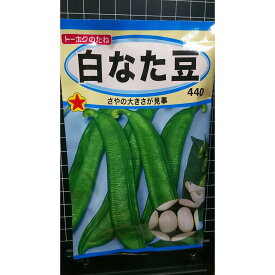 白 なた豆 ナタマメ 種 種子 トーホク
