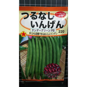 Ȃ 񂰂 e_[O[PB CQ  q g[zN