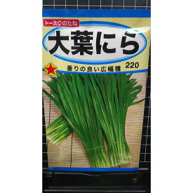 大葉 ニラ 広幅 にら 種 種 種子 トーホク