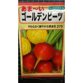 ゴールデン ビーツ あま〜い 種 種子 トーホク