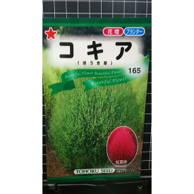 コキア ほうき草 ホウキグサ 種 種子 トーホク