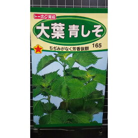 大葉 青 しそ アオシソ 種 種子 トーホク