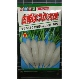 白姫はつか ミニ20日 大根 種 種子 トーホク