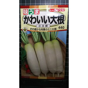 킢 ~j 卪 _CR Y   q g[zN