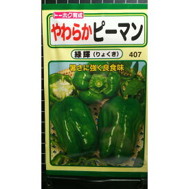 やわらか ピーマン 緑輝 種 種子 トーホク