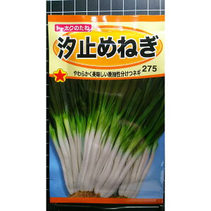 ~ ǂ ˂ lM K   q g[zN