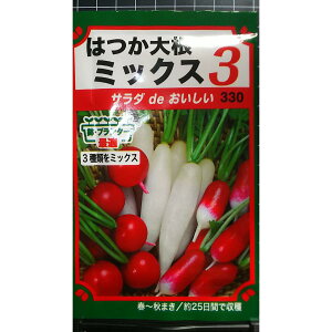 ͂ 卪 ~bNX3 20 fBbV  q g[zN