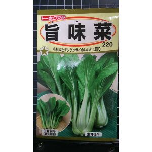 | ܂݂   `QTC ̂Ƃ  q g[zN