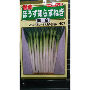 ڂ m炸 ˂ ֔ {K  q g[zN