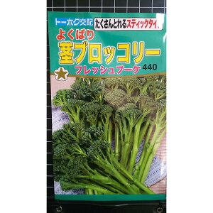 s XeBbN ubR[ tbVu[P  q g[zN