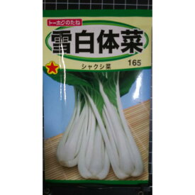 雪白体菜 シャクシ菜 しゃくしな 種 種 種子 トーホク