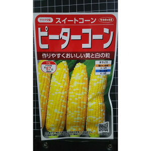 �s�[�^�[�R�[�� �X�C�[�g �R�[�� �g�E�����R�V �� �X�� ��q �T�J�^�̃^�l