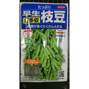 ���� ������ �}�� �����Ղ� �G�_�}�� �� �X�� ��q �T�J�^�̃^�l