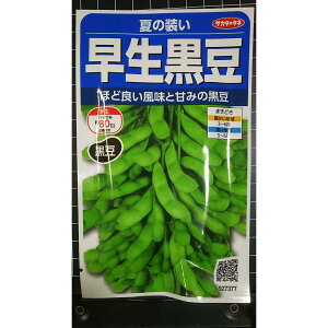 ���� ���� �Ă̑��� �G�_�}�� �}�� �� ��q �T�J�^�̃^�l