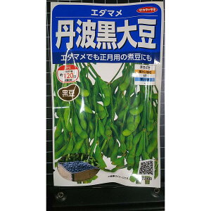 �O�g �� �哤 �G�_�}�� �}�� ���哤 �� ��q �T�J�^�̃^�l