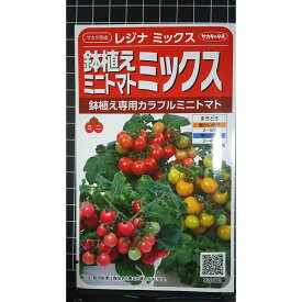 鉢植え ミニ トマト レジナ ミックス ミニトマト 種 種子 サカタのタネ