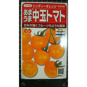 ���� �g�}�g �V���f�B �I�����W ���܂��� �t���[�c �̂悤�ȐH�� �� ��q �T�J�^�̃^�l