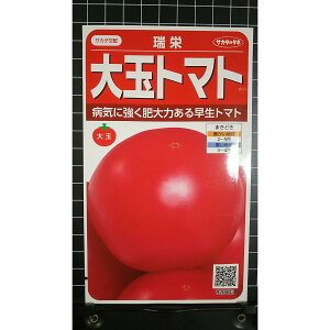 ��� �g�}�g ���h ���� �� ��q �T�J�^�̃^�l