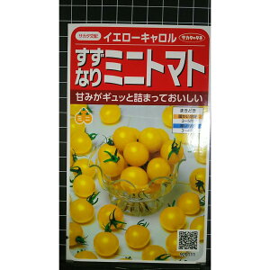 ���F �~�j�g�}�g �C�G���[�L������ �g�}�g �� ��q �T�J�^�̃^�l