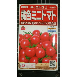 ���F �~�j�g�}�g �L������ ���[ �g�}�g �� ��q �T�J�^�̃^�l