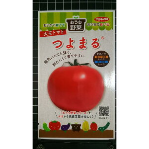 ��� �g�}�g ��܂� �� ��q �T�J�^�̃^�l