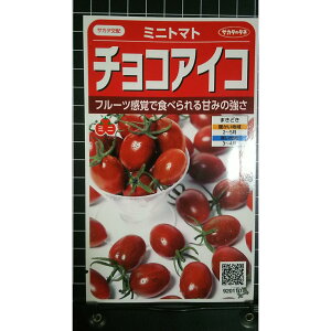 �~�j�g�}�g �`���R �A�C�R �� ��q �T�J�^�̃^�l