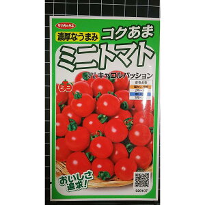 �~�j�g�}�g �L������ �p�b�V���� �~�j �g�}�g �� ��q �T�J�^�̃^�l