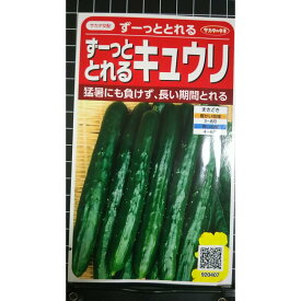 ずっととれる キュウリ キューリ 胡瓜 種 種子 サカタのタネ